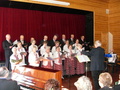 Konsertti laulajia viitasaarelta